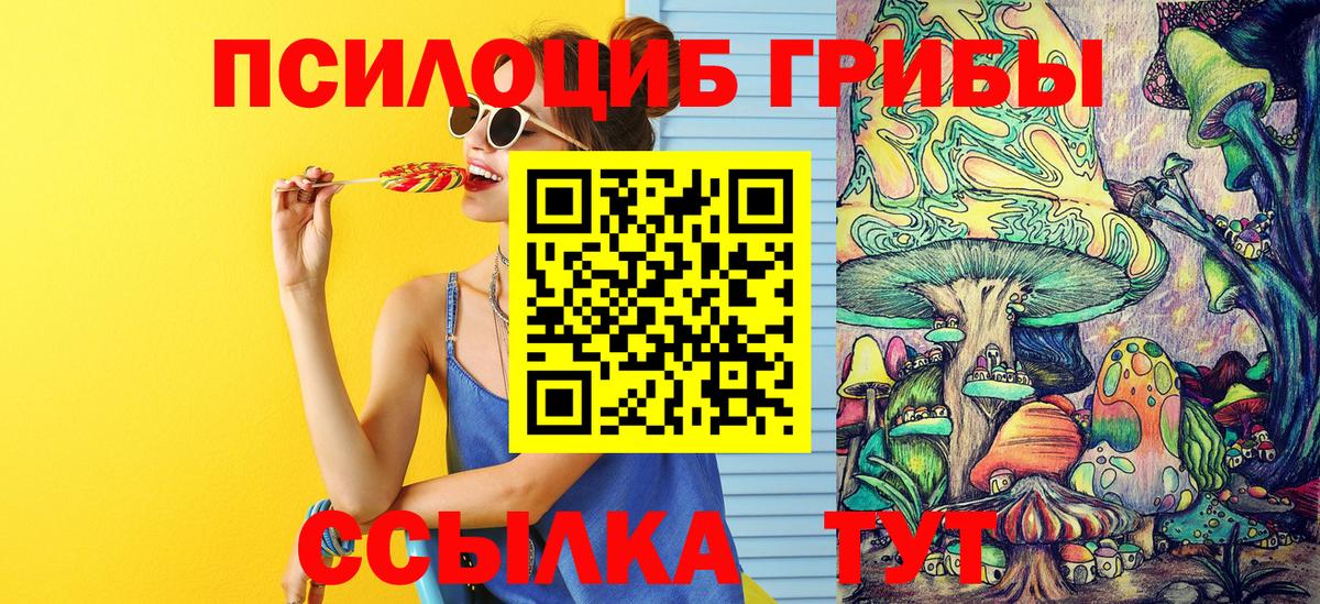 Галлюциногенные грибы MAGIC MUSHROOMS Грязи