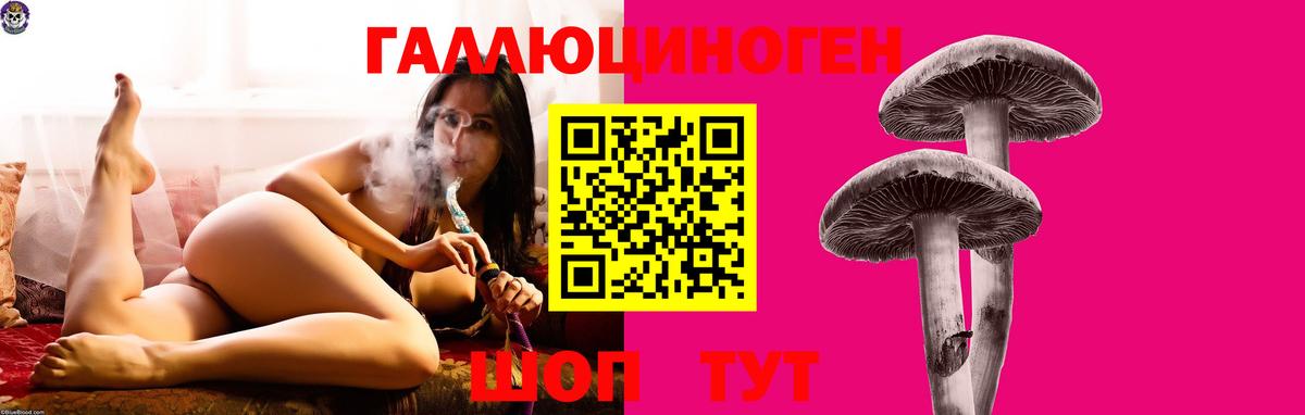Галлюциногенные грибы мицелий  Вход с VPN  Грязи  где купить наркотик  Галлюциногенные грибы Psilocybine cubensis 